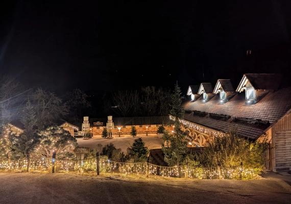 entree-grand-parc-de-noel-entree-6